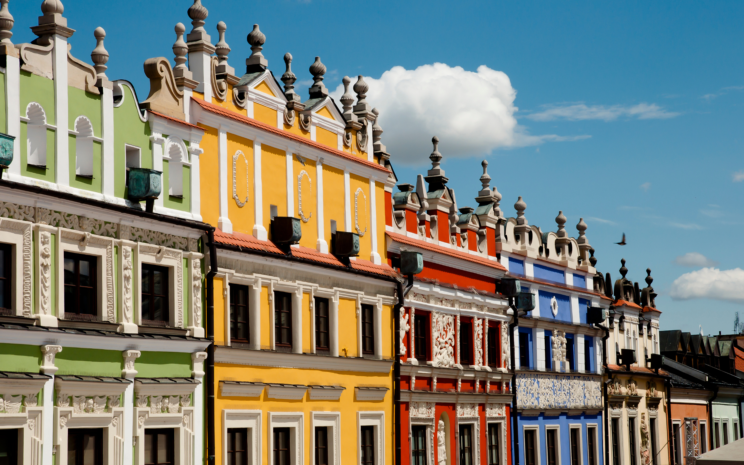 zamosc