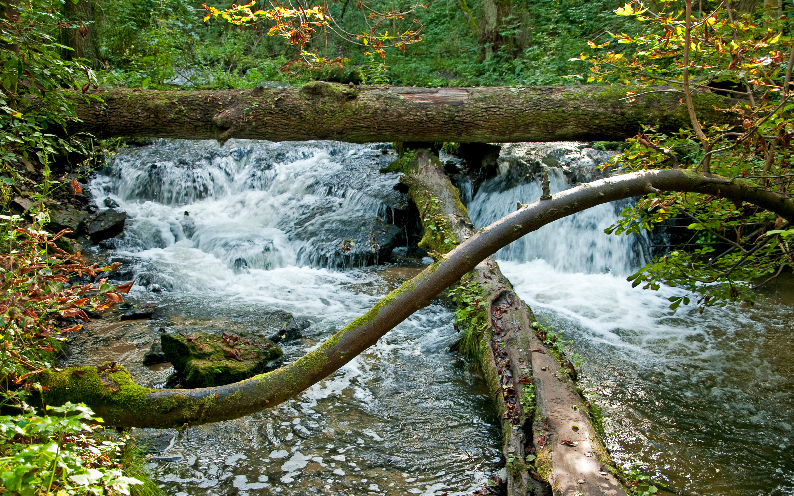 Roztoczański Park Narodowy – Szumy nad Tanwią